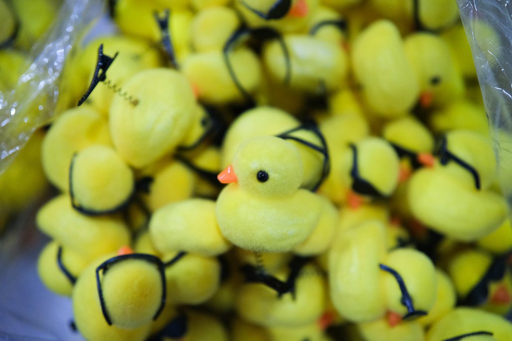 Bienal do Livro de Alagoas 2025 \u002D dia 5 \u002D 04/11