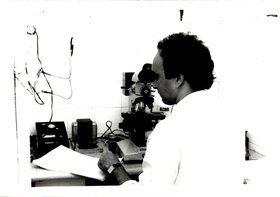 CIÊNCIAS BIOLÓGICAS - LABORATÓRIO DE IMUNOLOGIA (3)
