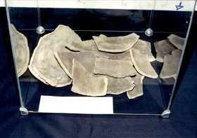 EXPOSIÇÕES DIVERSAS