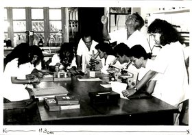 CIÊNCIAS BIOLÓGICAS - LABORATÓRIO DE IMUNOLOGIA (2)