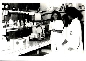CIÊNCIAS BIOLÓGICAS - LABORATÓRIO DE IMUNOLOGIA