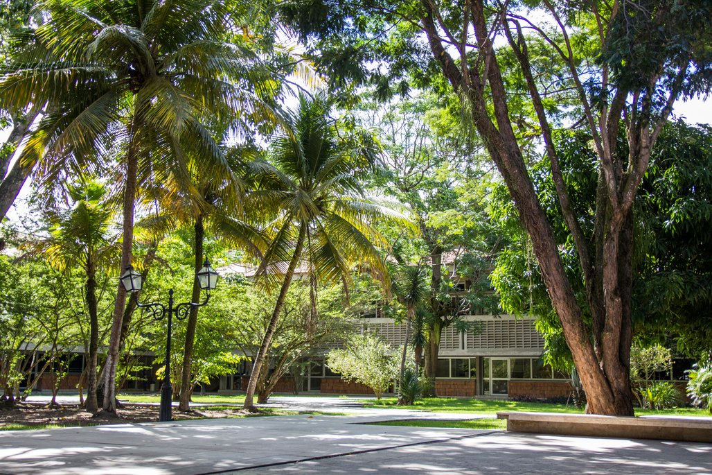 Campus A C Simões