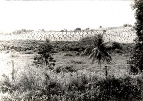 CAMPUS AVANÇADO FAZENDA SÃO LUIZ