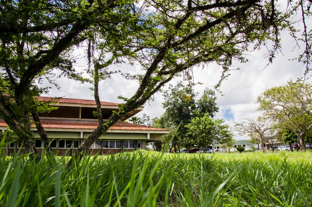 Campus A C Simões