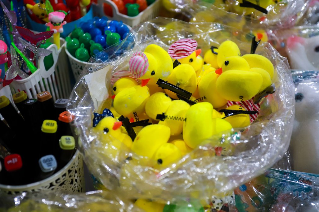 Bienal do Livro de lagoas 2025 \u002D dia 2 \u002D 01/11