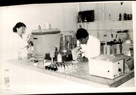 LABORATORIO SEM IDENTFICAÇAO