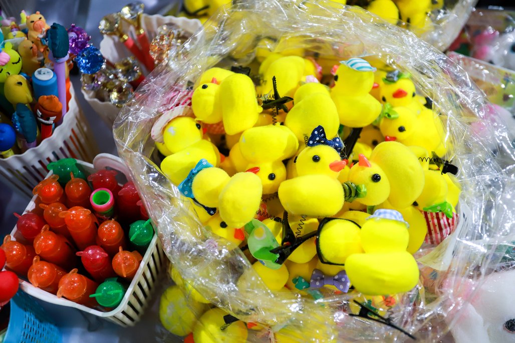 Bienal do Livro de lagoas 2025 \u002D dia 2 \u002D 01/11