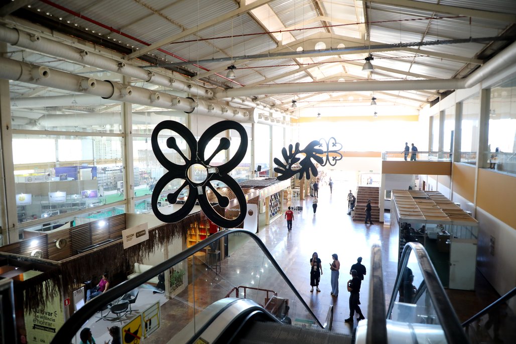 Bienal do Livro de Alagoas 2025 \u002D dia 1 \u002D 31/10