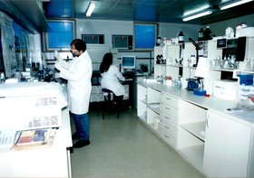 LABORATÓRIO DE PALMA FORRAGEIRA