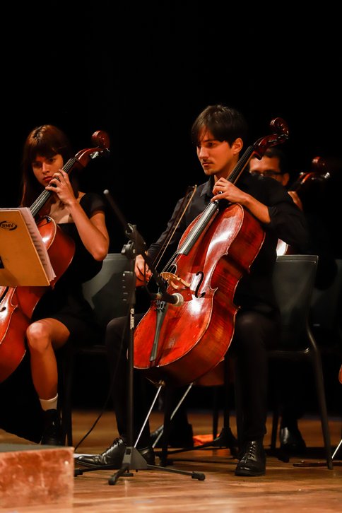 Bienal do Livro de Alagoas 2025 \u002D dia 5 \u002D 04/11