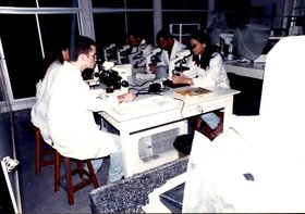 CIÊNCIAS BIOLÓGICAS - LABORATÓRIO DE PESQUISA