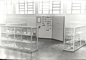 EXPOSIÇÃO PERMANENTE DO MUSEU DE HISTÓRIA NATURAL