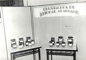 MUSEU DE HISTÓRIA NATURAL - EXPOSIÇÕES