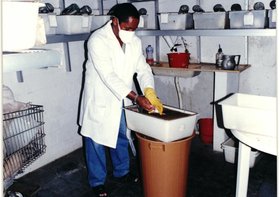 LABORATÓRIO SEM IDENTIFICAÇÃO