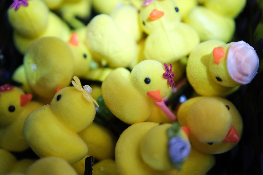 Bienal do Livro de Alagoas 2025 \u002D dia 5 \u002D 04/11