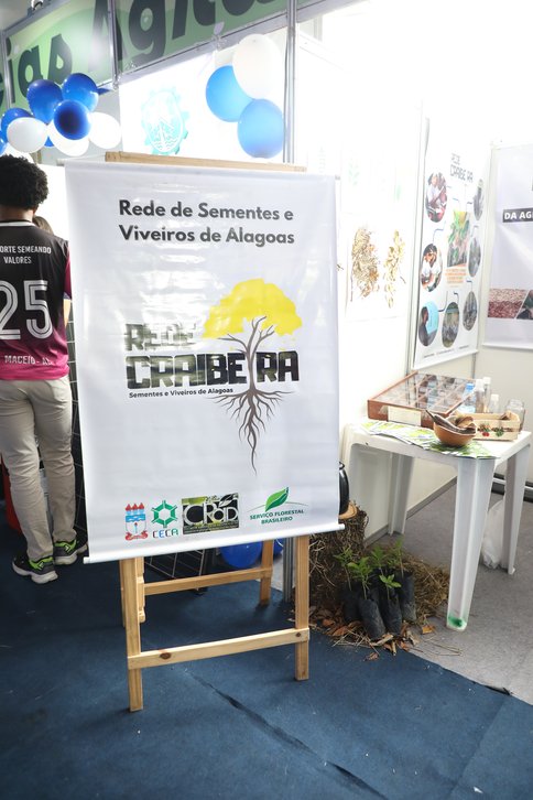 Sinpete 2025 \u002D dia 20/10 manhã