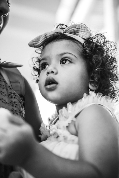 Bienal do Livro de Alagoas 2025 \u002D dia 5 \u002D 04/11