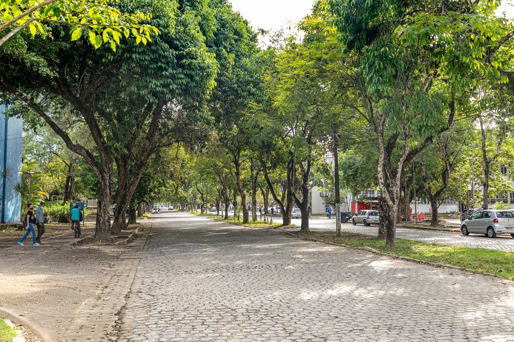 Campus A C Simões