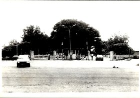 ENTRADA DA UFAL (3)