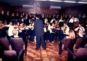 ORQUESTRA DE VIOLINO