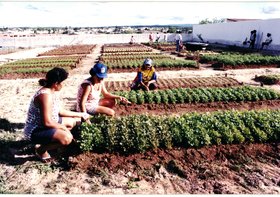 HORTA COMUNITÁRIA EM XINGÓ