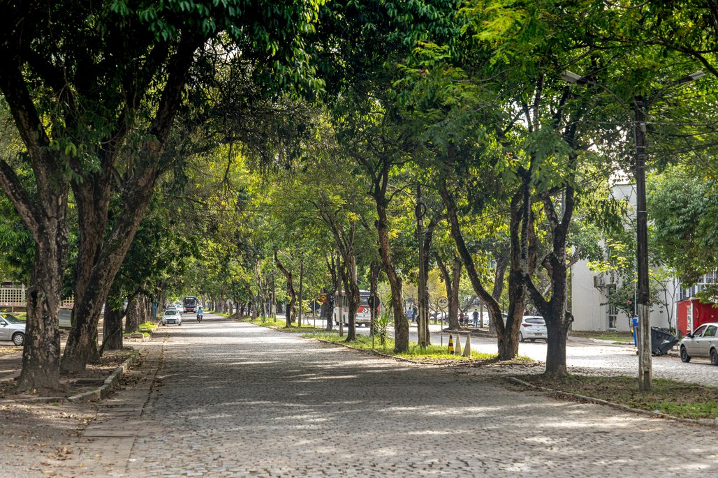 Campus A C Simões