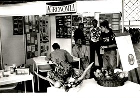 II FEIRA DE ARTES E CULTURA