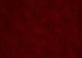 ÁLBUM VERMELHO ESCURO 01 - TRANSMISSÃO DO CARGO DE REITOR AO VICE-REITOR JOÃO AZEVEDO